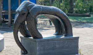 Olifant