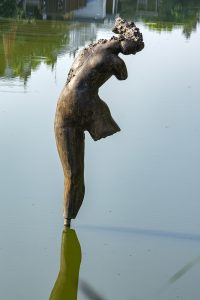 Waternimf1