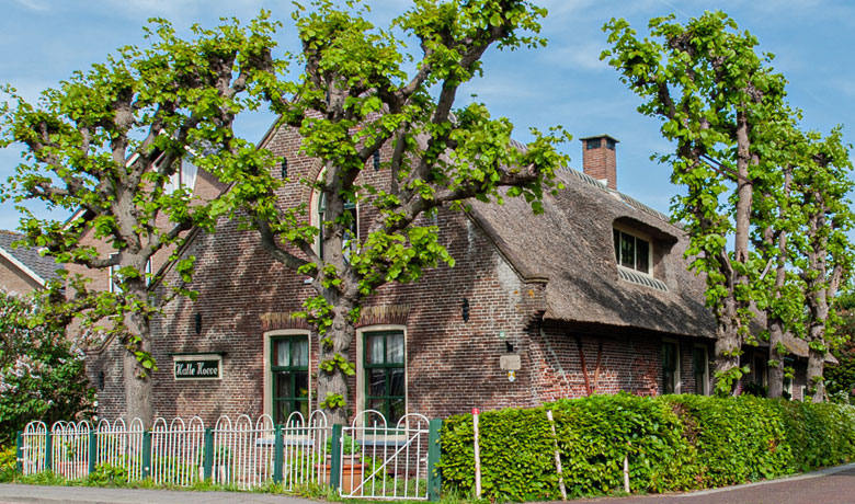 Halle-Hoeve
